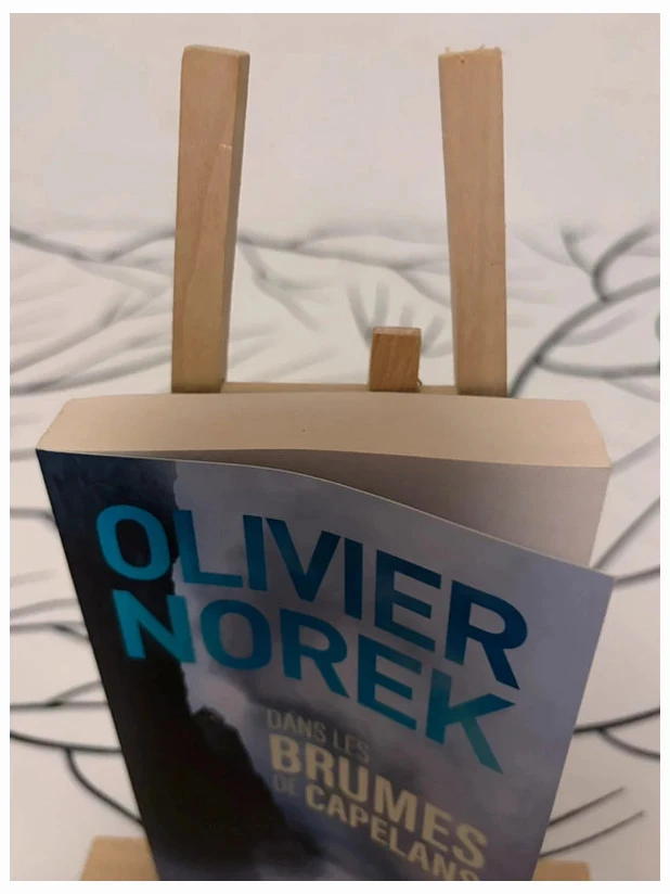 Pocket Olivier Norek Livre Dans les brumes de Capelans – photo 4